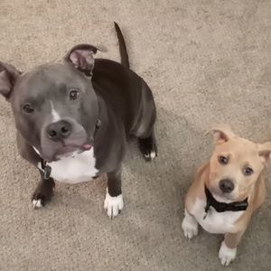 Meet your Posher, Tamee